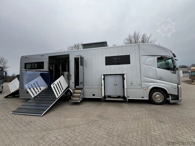 Kreaturvogn VOLVO FH 540 STX 7 Pferde POP-OUT, POP+UP Model 777