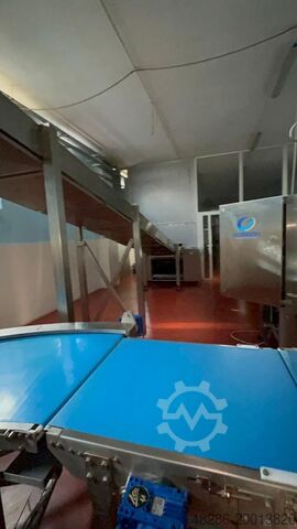 Sistema de corte y enrollado de galletas Gorreri Layer Cake & Swiss roll line