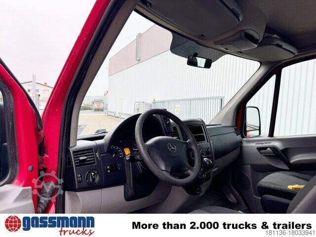 Aangepaste bestelwagen Mercedes-Benz Sprinter 310 CDI 4x2 Doka, Hinterkipper