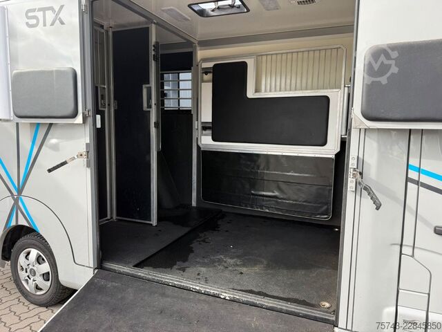 Veetransporter RENAULT Master STX 3 Sitzer  Haras / Hengste