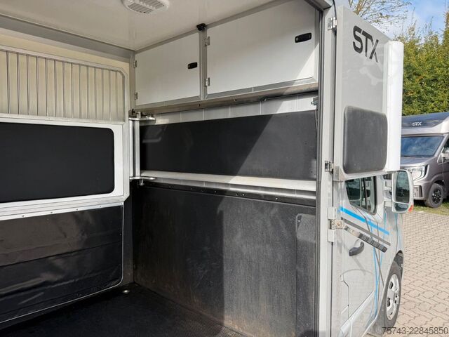 Veetransporter RENAULT Master STX 3 Sitzer  Haras / Hengste