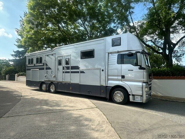 Veewagen MAN TGX 26400 Gimmel 5-6 Pferde + Kiste, Popout