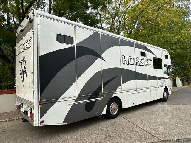 Camião para gado MAN TGM 15240 5 Pferde Wohnung Automatik