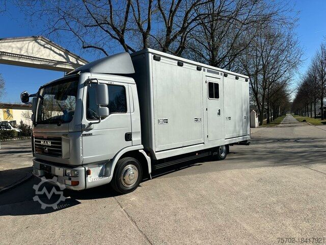 Veetransporter MAN TGL 8180 Niehoff 4 Pferde