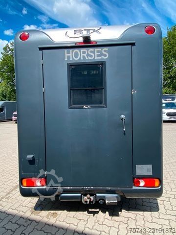 Veetransporter RENAULT Master STX 3 Sitzer  Automatik Haras / Hengste