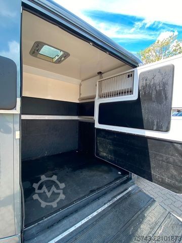 Veetransporter RENAULT Master STX 3 Sitzer  Automatik Haras / Hengste