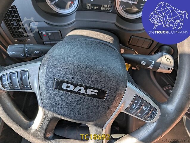 MTS standard DAF XF 480
