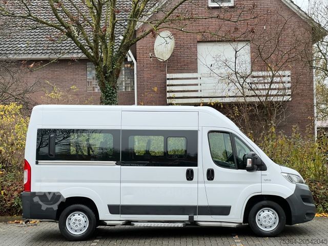 Minibus FIAT Ducato 3.0 Natural Power/CNG/Benzin 9 Sitze Pdc