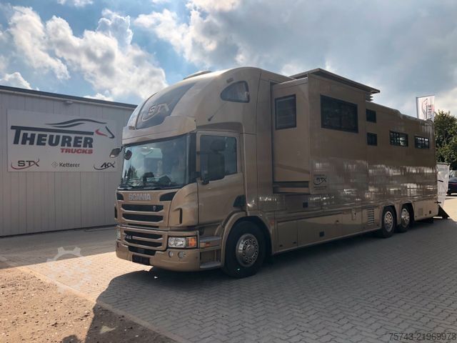 Camião para gado SCANIA P410 STX 6 Pferde Pop-Out, Pop-Up, Küche unten