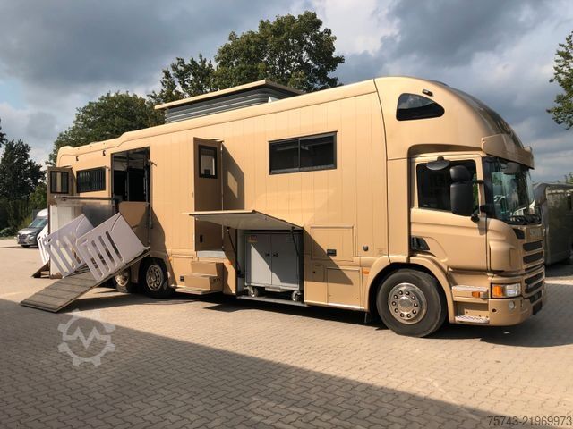 Camião para gado SCANIA P410 STX 6 Pferde Pop-Out, Pop-Up, Küche unten