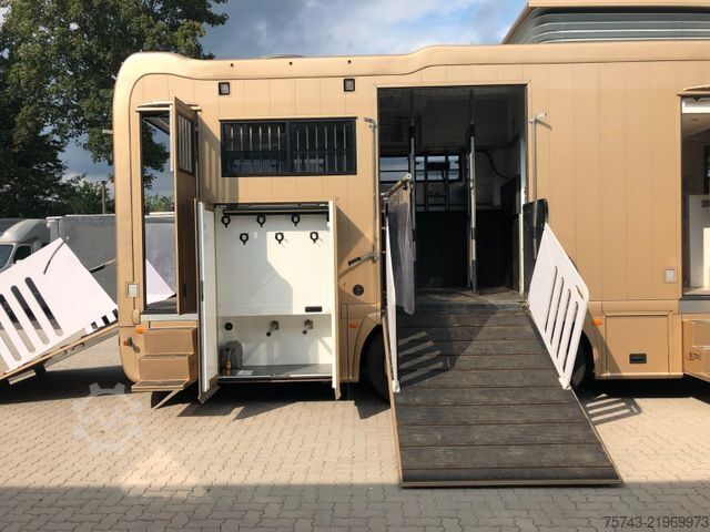 Camião para gado SCANIA P410 STX 6 Pferde Pop-Out, Pop-Up, Küche unten