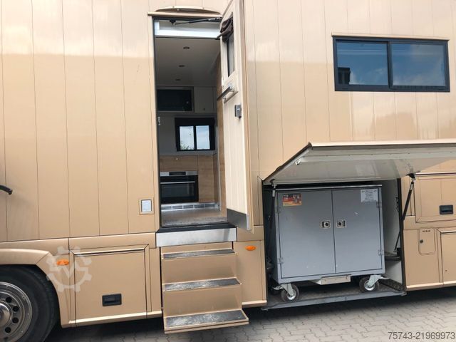 Camião para gado SCANIA P410 STX 6 Pferde Pop-Out, Pop-Up, Küche unten