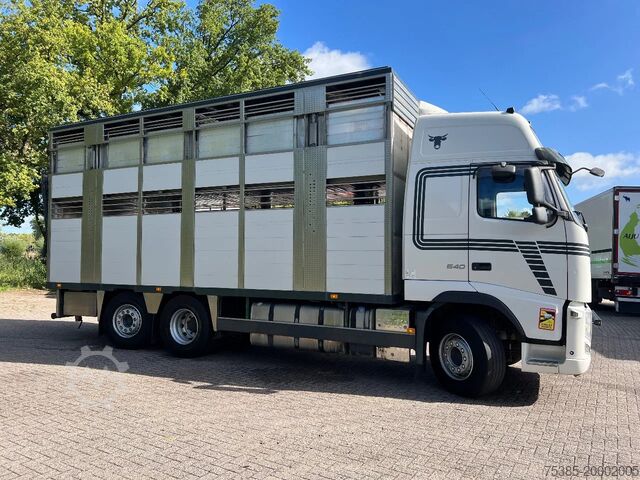 Viehtransport Volvo FH 13.540 Globe XL 6x2/4 IRMA Livestock