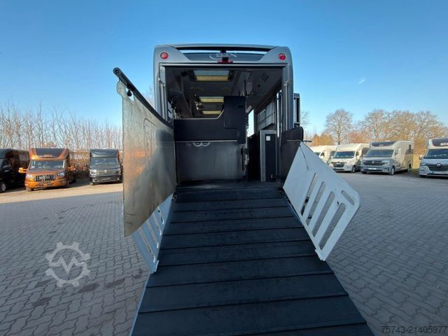 Sığır taşıma kamyonu VOLVO FM 420 STX 8 Pferde