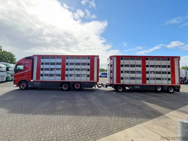 Veetransport Volvo FH 13.500 6x2 - Livestock 4 deck Finkl + Finkl ...