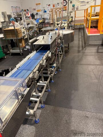 Flödesförpackare Fuji Packaging / Loma Systems Complete Packing Line for Muffins / Cake