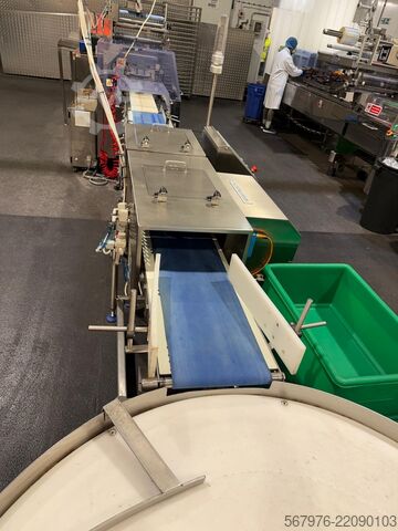 Flödesförpackare Fuji Packaging / Loma Systems Complete Packing Line for Muffins / Cake