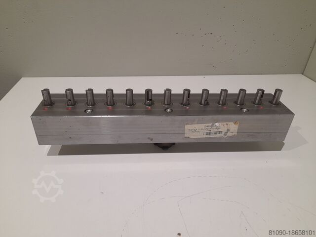 13-Punkt-Kopf BIESSE G462 03-10
