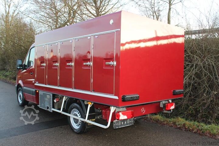 Ψυγειοφόρο βαν MERCEDES-BENZ Sprinter 310  Euro 6 Cold Car -33°C ATP 09/29