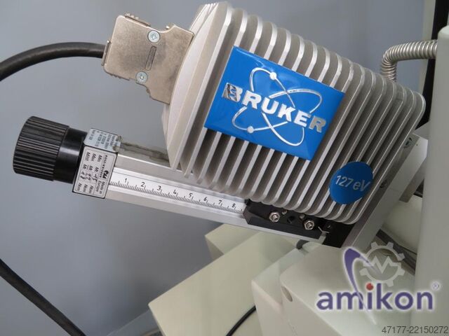  Jeol JSM-6490 Bruker XFlash Detektor