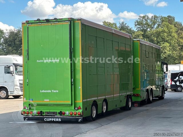Boskapsbil MAN TGX 26.440 6x2 3.Stock Cuppers Komplett-Zug