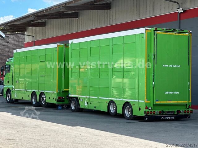 Boskapsbil MAN TGX 26.440 6x2 3.Stock Cuppers Komplett-Zug