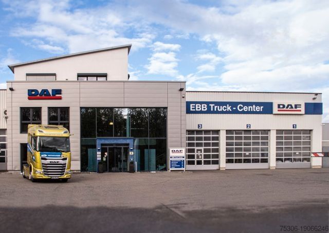 Roll-off tipper truck DAF FAN XF 480 NGD