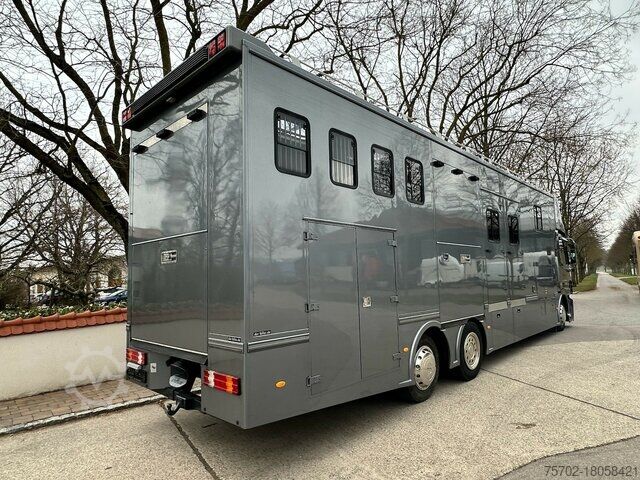 Szarvasmarha-szállító teherautó Mercedes-Benz Actros 2544 6 Pferde + Kiste Popout