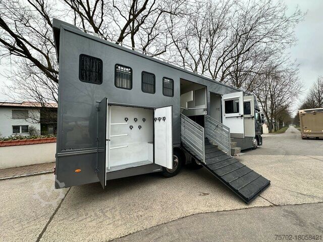 Szarvasmarha-szállító teherautó Mercedes-Benz Actros 2544 6 Pferde + Kiste Popout