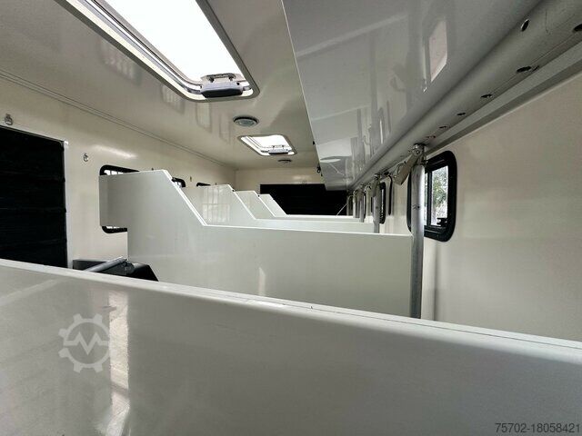 Szarvasmarha-szállító teherautó Mercedes-Benz Actros 2544 6 Pferde + Kiste Popout