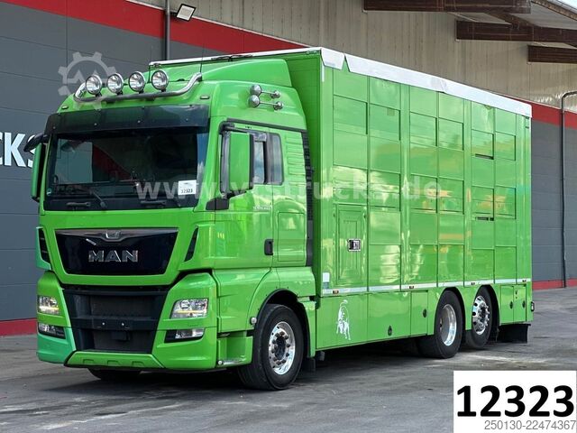 Szarvasmarha-szállító teherautó MAN TGX 26.440 6x2 3.Stock Cuppers, Lenk-/Lift