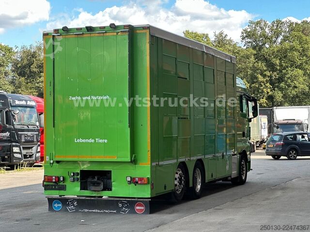 Szarvasmarha-szállító teherautó MAN TGX 26.440 6x2 3.Stock Cuppers, Lenk-/Lift