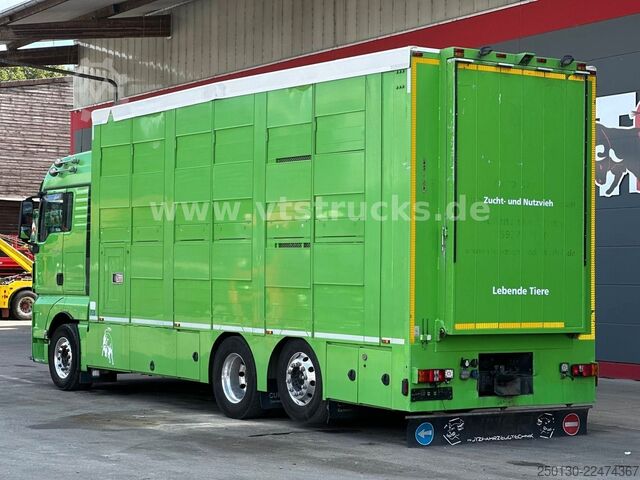 Szarvasmarha-szállító teherautó MAN TGX 26.440 6x2 3.Stock Cuppers, Lenk-/Lift