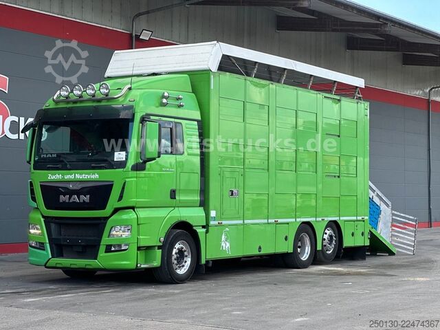 Szarvasmarha-szállító teherautó MAN TGX 26.440 6x2 3.Stock Cuppers, Lenk-/Lift