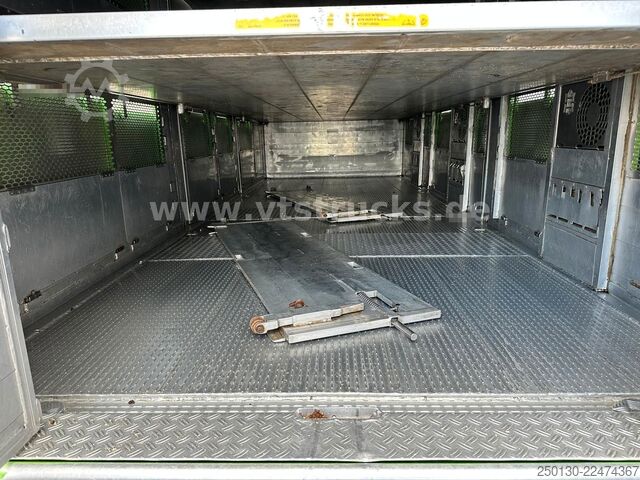 Szarvasmarha-szállító teherautó MAN TGX 26.440 6x2 3.Stock Cuppers, Lenk-/Lift