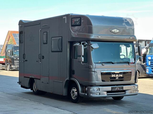 Boskapstransportör MAN TGL 8.180 4x2 BL EEV ANEMONE für 3  Sportpferde