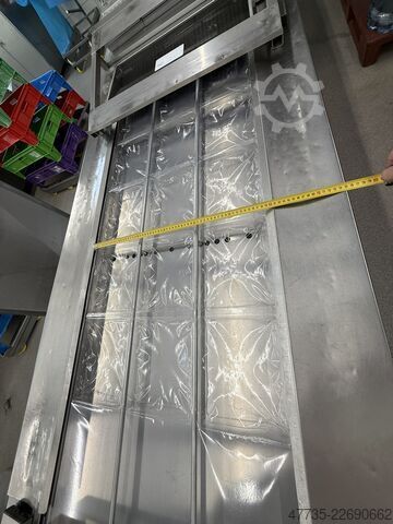Verpakkingsmachine MULTIVAC R 530