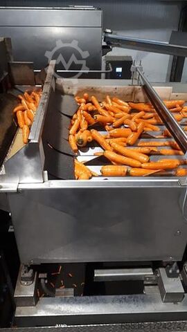 2010 Newtec CELOX optical sorting machine Newtec CELOX optical sorting machine