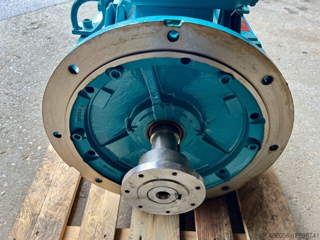 Motor eléctrico de 50 kW Brook Crompton W-DF 250 MN-H