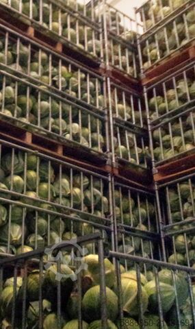 Skrzynie na kapustę  