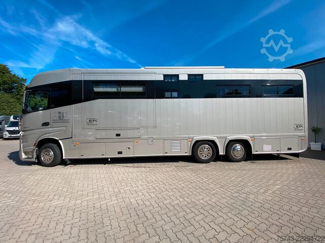 Sığır taşıma kamyonu MERCEDES-BENZ 2663 STX 5 Pferde  POP-OUT+POP-UP  Top Zustand