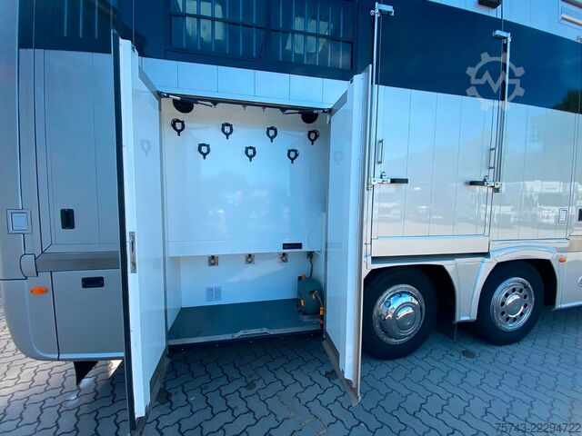 Sığır taşıma kamyonu MERCEDES-BENZ 2663 STX 5 Pferde  POP-OUT+POP-UP  Top Zustand