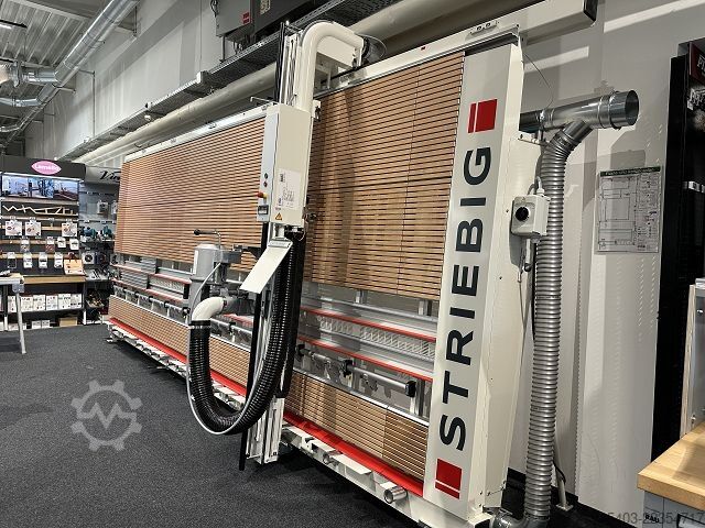 Verticale platenzaag Striebig STANDARD TRK 1 6224
