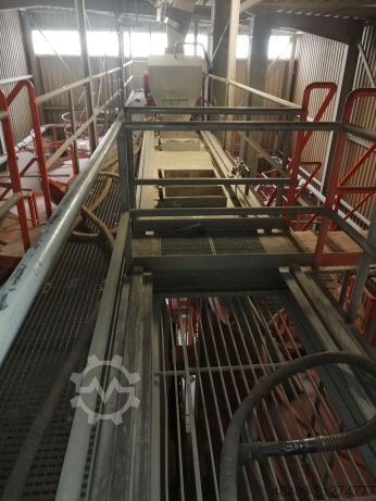 Menger Rekers und Zyklos 