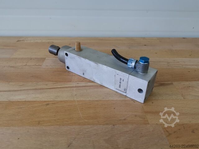 Pneumatisk cylinder SAD-30/100  SAD-30/100