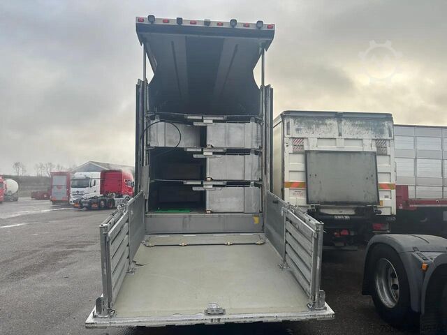 Transporte de gado Berdex NO BERDEX HMK 4 stock livestock trailer SPF