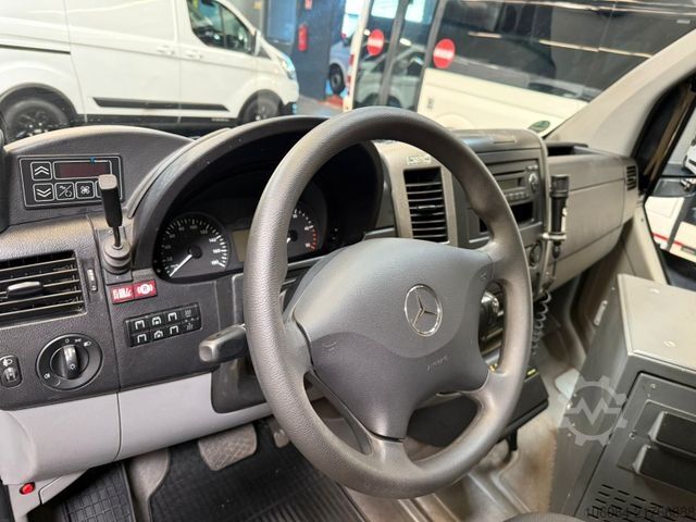 Minibús MERCEDES-BENZ Sprinter 516 City 65 EvoBus Automatik Dachklima