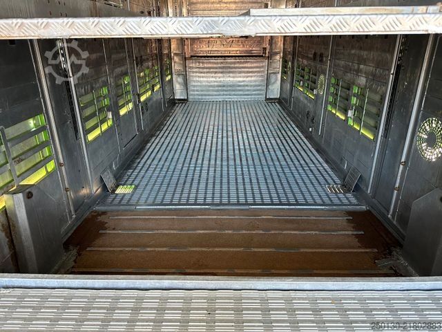 Semirimorchio per bestiame Finkl MultiLiner XXL/VSE/Ladelift/Tränke/Hubdach