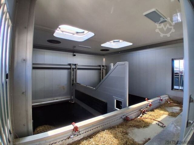 Veewagen MERCEDES-BENZ Actros 25L Böckmann Horses Big Equipe L3.56.26