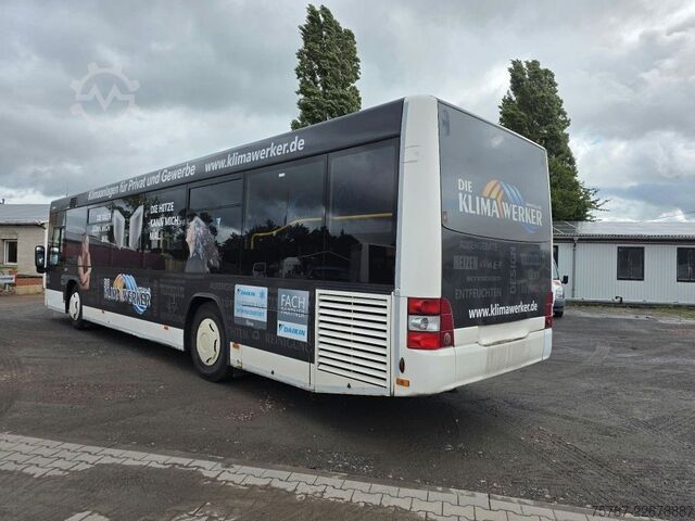 Autocarro interurbano MAN Lions City LE  Überland Niederflurbus 41+40+1+1